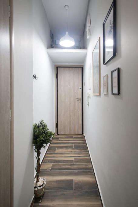 אתונה A Comfortable Small Studio Nearby Acropolis 5 מראה חיצוני תמונה